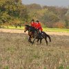 IMG_9581
