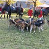 IMG_9695