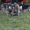 IMG_9697