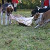 IMG_9698