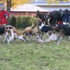 IMG_9700